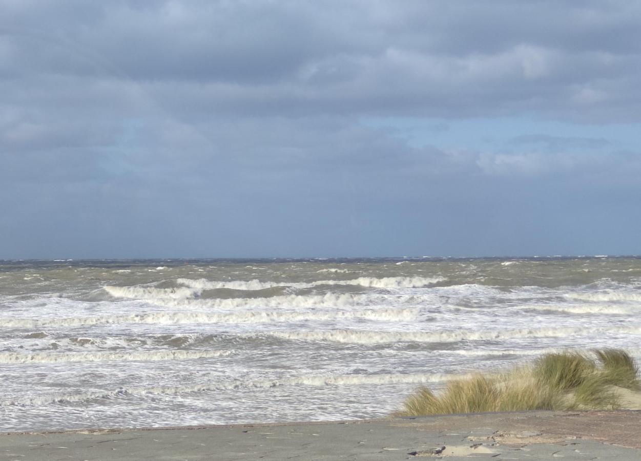 Plage Et Jardin A Malo Les Bains Dunkirk Bagian luar foto